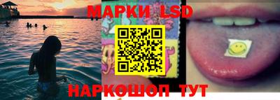 МДПВ Можга