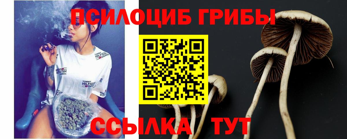 Шахты  Галлюциногенные грибы ЛСД  Вход с VPN 